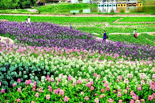 1547687998555066.jpg 3.jpg