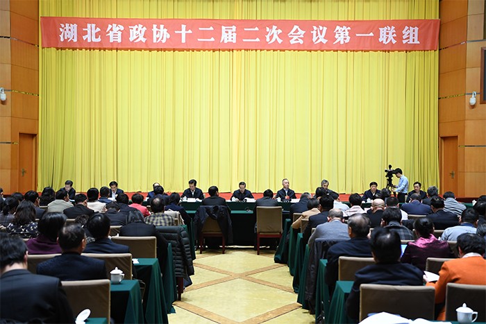 1547689575772291.jpg 1 1月16日,湖北省委書記蔣超良參加湖北省政協(xié)十二屆二次會議聯(lián)組會.jpg