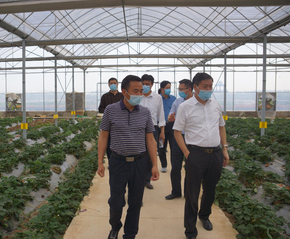 調(diào)研組一行在葛蓬崗生態(tài)農(nóng)業(yè)基地實地考察.jpg