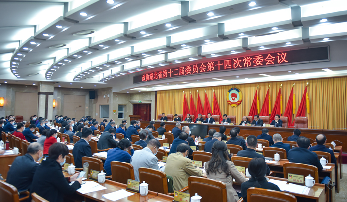 楊思穎 攝 (20).jpg 楊思穎 攝 (20).jpg