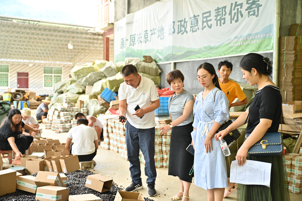 宣恩縣政協(xié)開展提案督辦“一線協(xié)商”助力電商產(chǎn)業(yè)發(fā)展 (2).JPG 宣恩縣政協(xié)開展提案督辦“一線協(xié)商”助力電商產(chǎn)業(yè)發(fā)展 (2).JPG