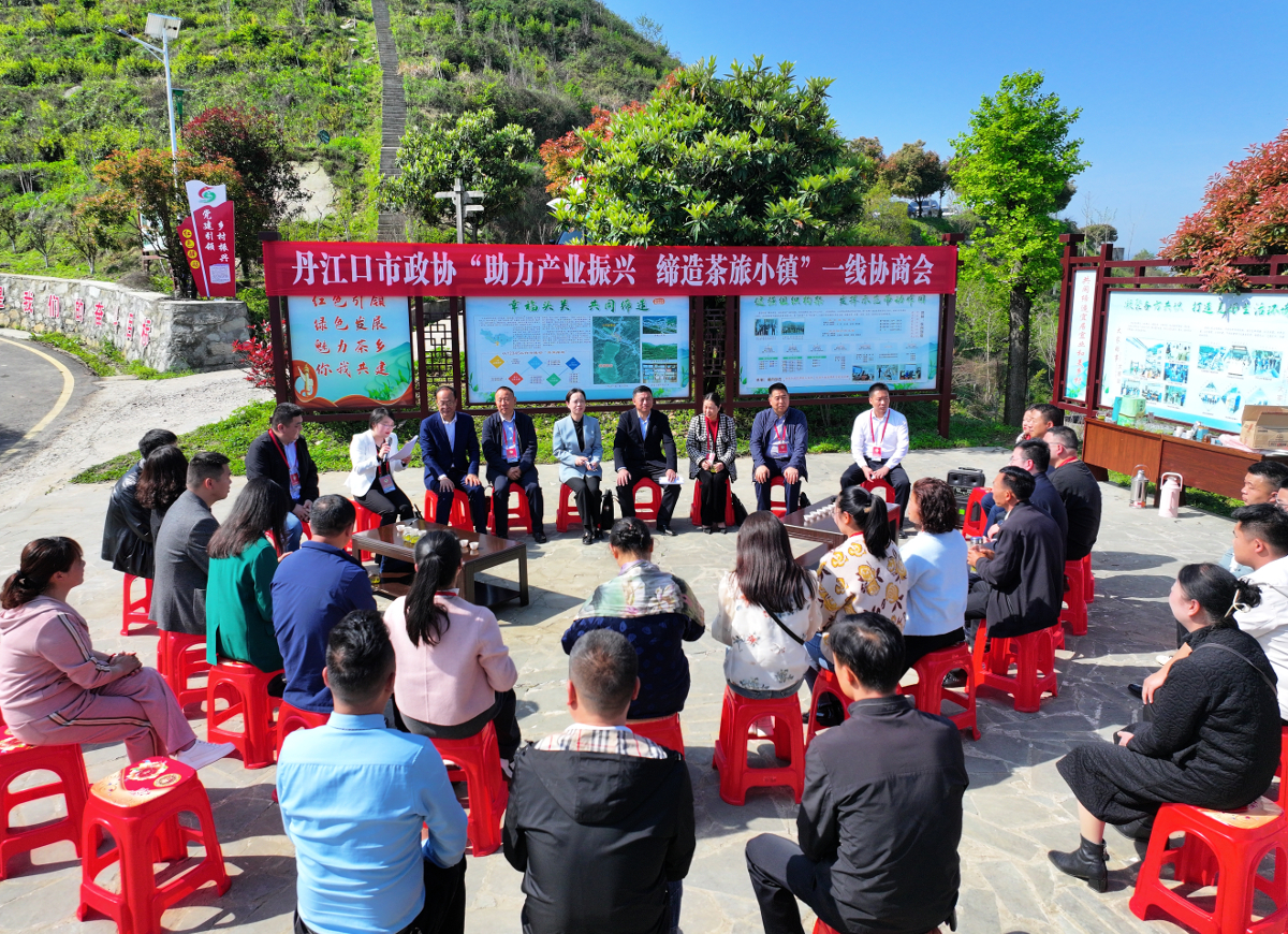 5——市政協(xié)在土關(guān)埡村開展助力產(chǎn)業(yè)發(fā)展 締造茶旅小鎮(zhèn)一線協(xié)商會.jpg